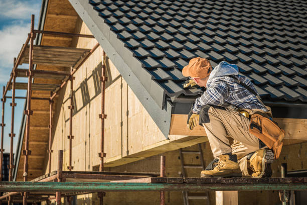 Best Skylight Installation and Repair  in Lake Waynoka, OH