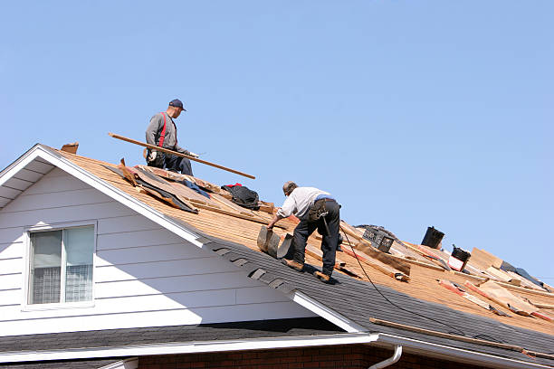 Best Emergency Roof Repair Services  in Lake Waynoka, OH